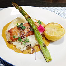 Seared Black Grouper at Hot Tin Roof